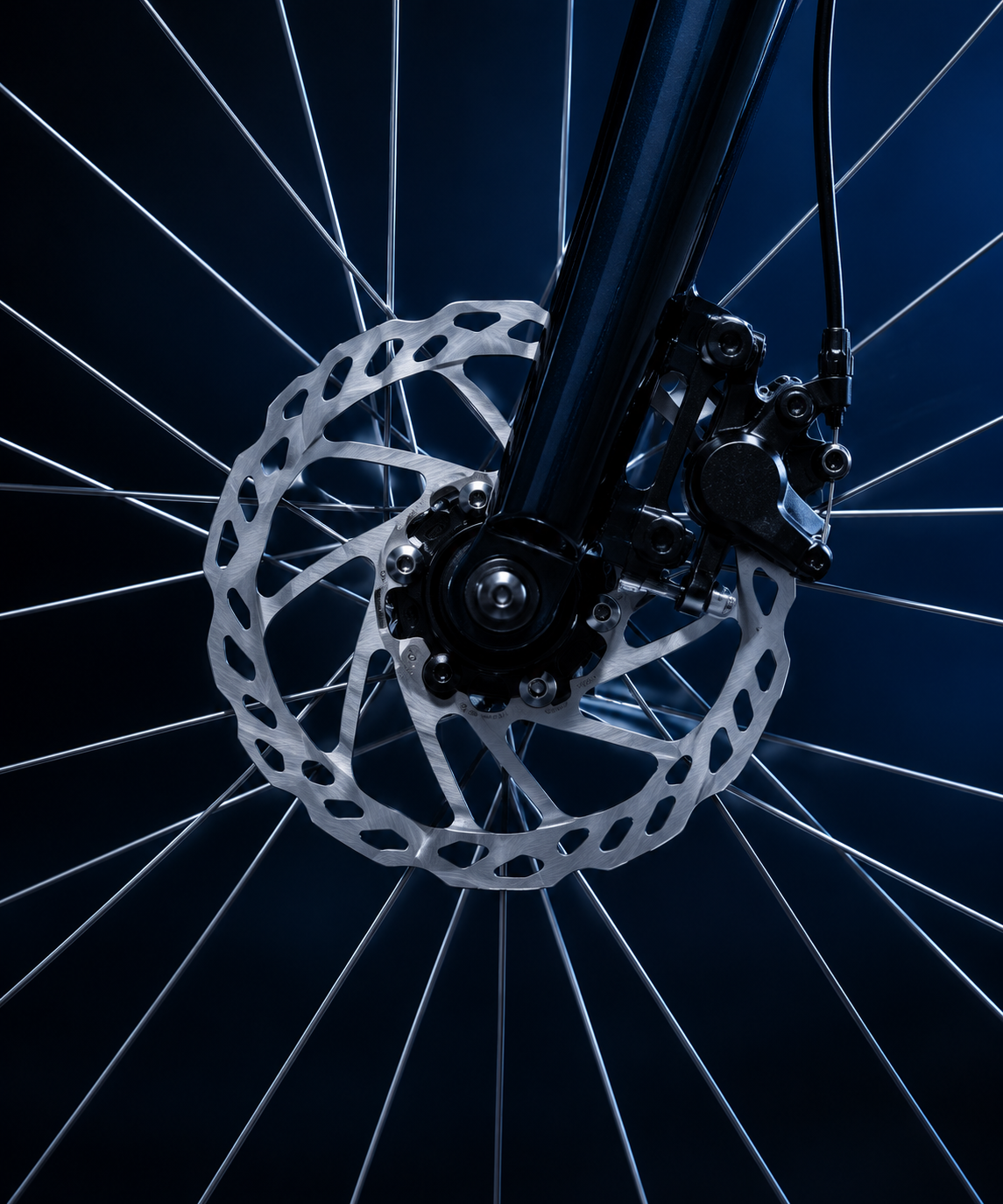 Close-up of a bicycle disc brake rotor and spokes